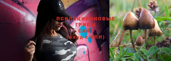крисы Беломорск