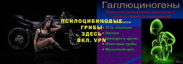 стаф Осинники