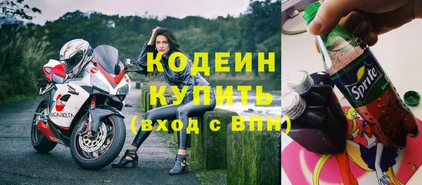 шишки Белоозёрский