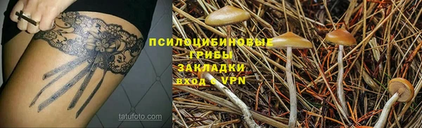 крисы Беломорск