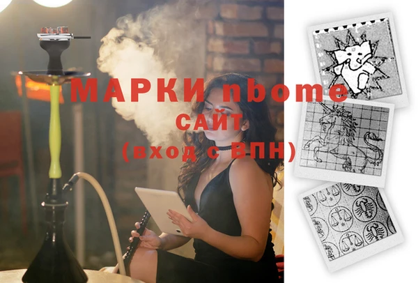 стаф Осинники
